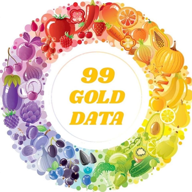 99 Gold Data Company Logo