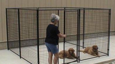 dog kennels for dogs