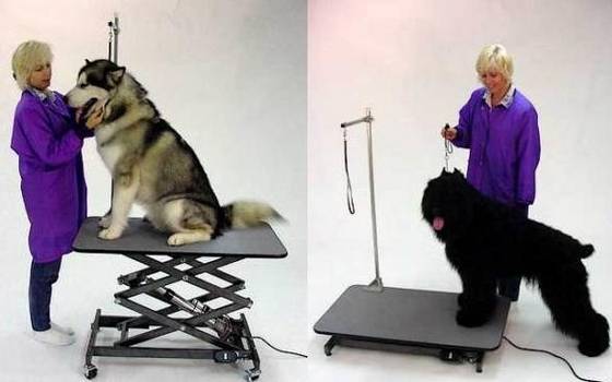 Dog Grooming Electric Lift Table,Post & Clamp Included(id