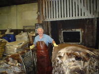 Animal Skins and Hides