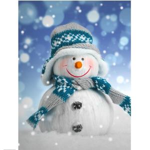 Wholesale handmade craft: 30*40 Cm Full Drill Mosaic Cross Stitch Wall Hanging Arts Crystal Crafts Handmade Christmas Snowman