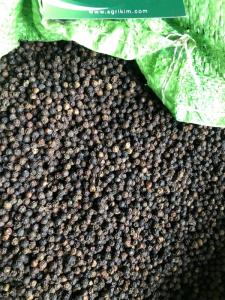 Wholesale spice: Vietnam Black Pepper