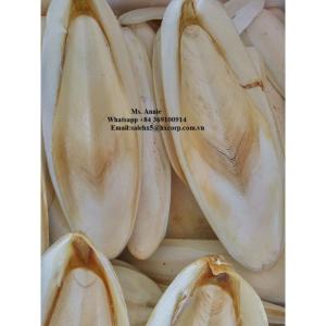 Wholesale china inspection company: Dried Cuttlebone for Birds High Quality Cuttlefish Bone for Animal Feed