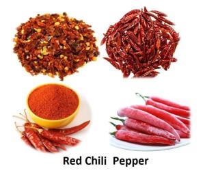 Wholesale dried chili: Red Chili Peppers