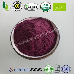 Wholesale siberian ginseng extract: Organic Elderberry Powder