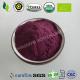 Organic Elderberry Powder