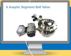 Wholesale ball valves: Aspetic Segment Ball  Valve