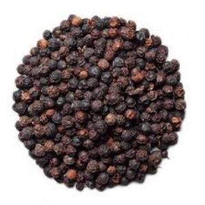 Wholesale piper: Black Pepper
