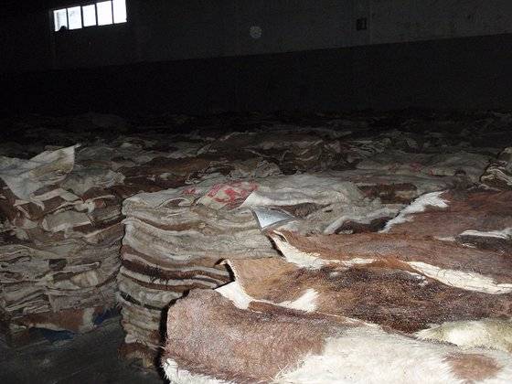 Animal Hides.