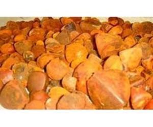 Wholesale sales: Cow Gall Stones / Ox Gallstones for Sale