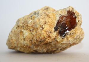 Wholesale pure quality: Buy Ambergris Online / Ambergris Wholesale Dealer / Ambergris for Sale Cheap Price