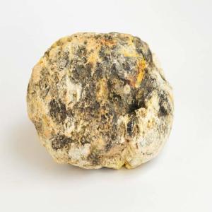 Wholesale color printing service: High Quality Sell Whale Vomit Ambergris