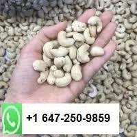Wholesale quality standard: Cashew Nuts/Pistachio Nut/Walnut/Almonds Nut /Macadamia Nuts