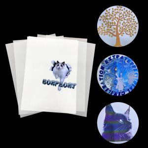 Wholesale digital film: Digital Transfer Film for T Shirt Apron Bags Hat Hot Peel DTF Film A3 A4 PET Film