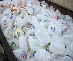Wholesale hdpe regrind: Clear HDPE Milk Bottle Scrap