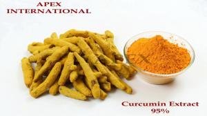 Wholesale haldi: Curcumin Extract 95% Wholesale haldi: Curcumin Extract 95%