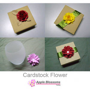 Wholesale photo paper: Cardstock Flower