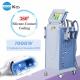 Cryolipolysis Fat Freezing Weight Loss Slimming Machine