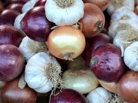 Garlic & Onion