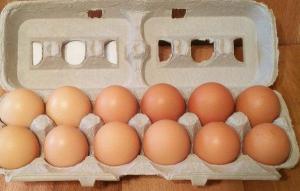 Wholesale fresh: Fresh Farm Chicken Table Eggs/Fresh Chicken Eggs Small (43 - 53 G) Medium (53 - 63 G) Large (63