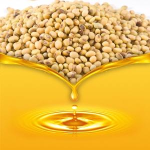 Wholesale labels: High Quality Refined Soyabean Oil / Crude Degummed Soybean Oil