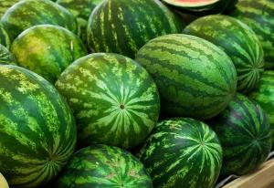 Water Melon Fresh Water Melon/Fresh Melons/ Fresh Watermelon...