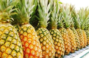 Seed Sale Wholesale Price Fresh Pineapple for Sale 