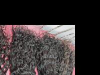 Best Quality Indian Hair Extensions From Arrow Exim 5