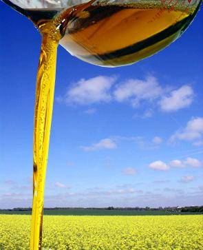 Crude Rapeseed Oil Canola Oil(id:2748542) Product details - View Crude ...