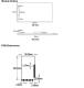 MS6180M: ZigBee 3.0 + BLE Module