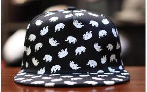 Wholesale research: Snapback