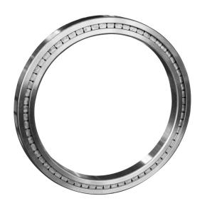 Wholesale guide ring: SL Series Full Complement Cylindrical Roller Bearings