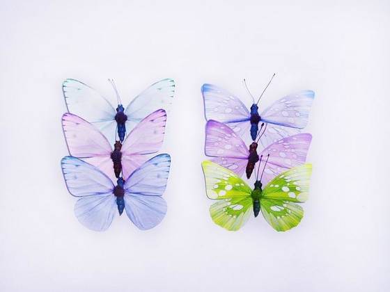easter-butterfly-id-4099873-product-details-view-easter-butterfly