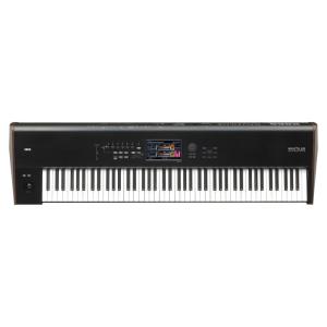 Wholesale organic synthesis: Fast Delivery for Korg NAUTILUS 88 Digital Performance Workstation Black