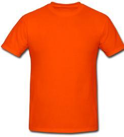 Wholesale ladies t shirt: Blank T-shirt