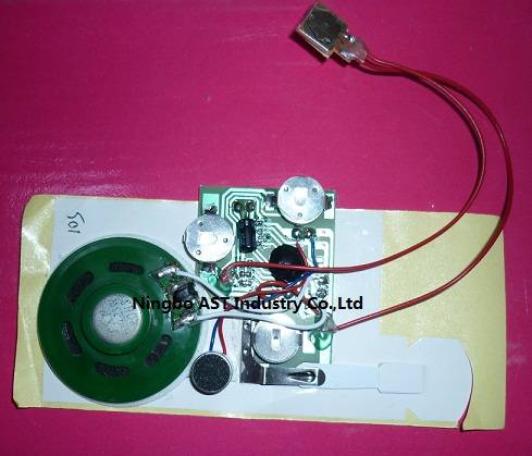 Sound Module