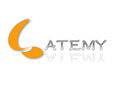 Shanghai ATEMY Import and Export Co., Ltd.  Company Logo