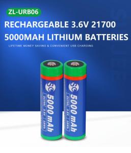 Wholesale ultra low self discharge: Type C USB Rechargeable LG Cells Batteries, 5000mAh 3.6V 18Wh