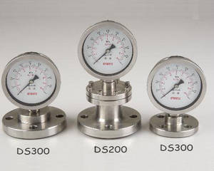Wholesale 13kg: Diaphragm Pressure Gauge (Flange Type)