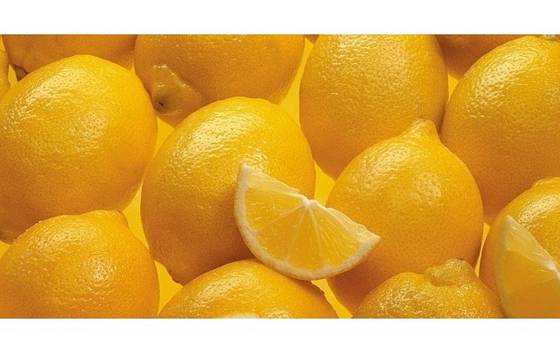 Sell Fresh Yellow Lemons From South Africa