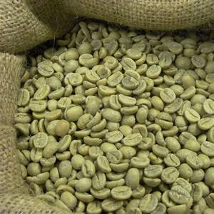 wholesale green coffee beans