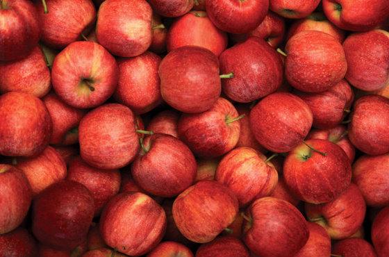 Fresh Red Royal Gala Apples