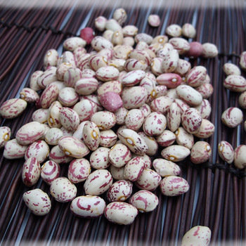 Round Light Speckled Kidney Beans LSKB in Sale 200-220