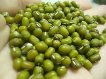 3.2mm+ Organic Green Mung Beans Food Grade Market Price