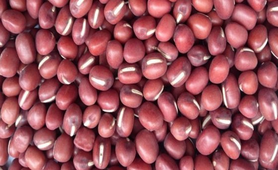 Adzuki Beans - Export Quality and Best Price