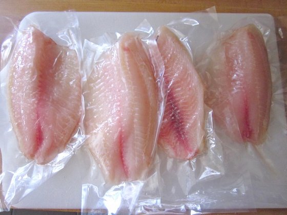 Frozen Tilapia Fish Fillet