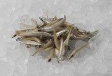 Frozen Whitebait Fish - Best Quality and Price