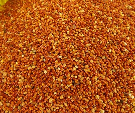 Red Broomcorn Millets - Best Price and Quality