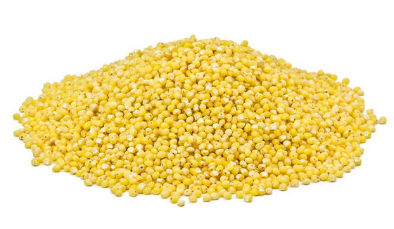 Broomcorn Millet (Red,Yellow,White,Black)