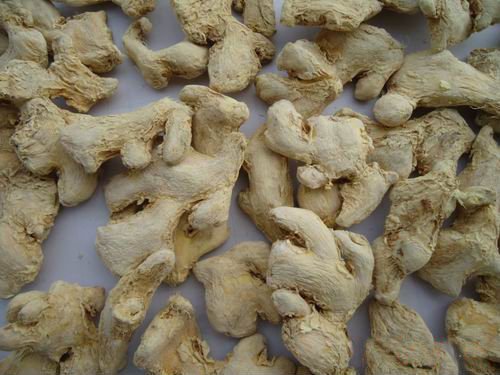 Whole Dry Ginger, Dried Ginger for Sale